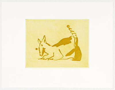 Bunte Hunde