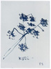 Quengelware No. 54