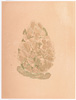 Quengelware No. 89