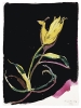 Blumen fÃ¼r Konrad
