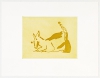 Bunte Hunde